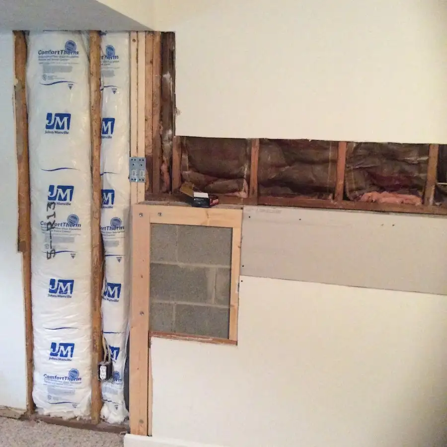 Wall insulation replacement during Odor Removal & Deodorization in Laplace